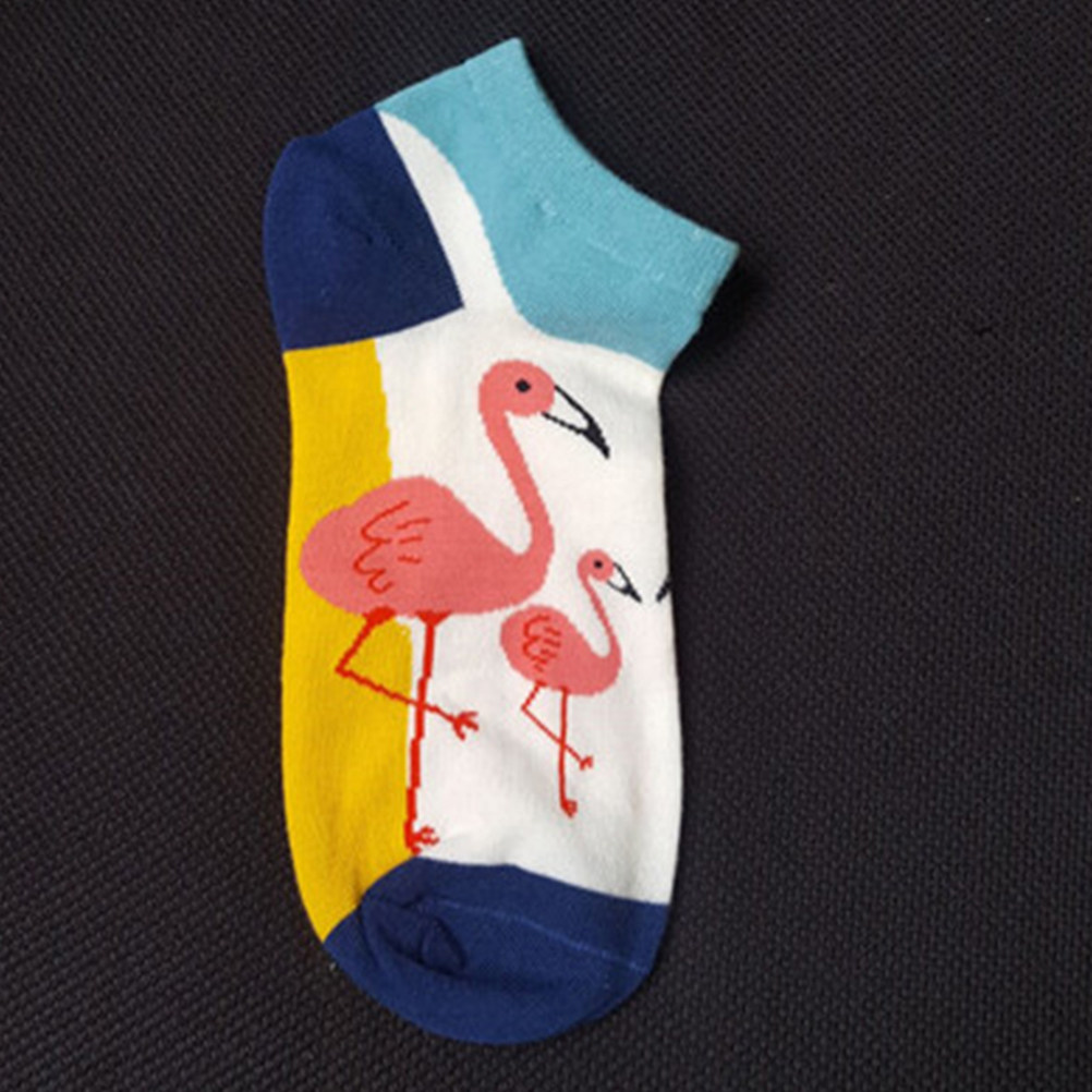 Invisibility Sock Loafer - 5 قطع جوارب قصيرة نسائية من