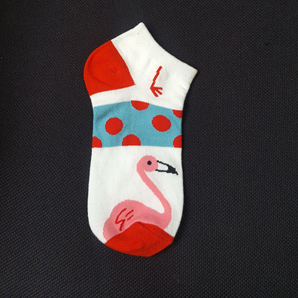 5 قطع جوارب قصيرة نسائية من ال - مراجعة Invisibility Sock Loafer وسعره